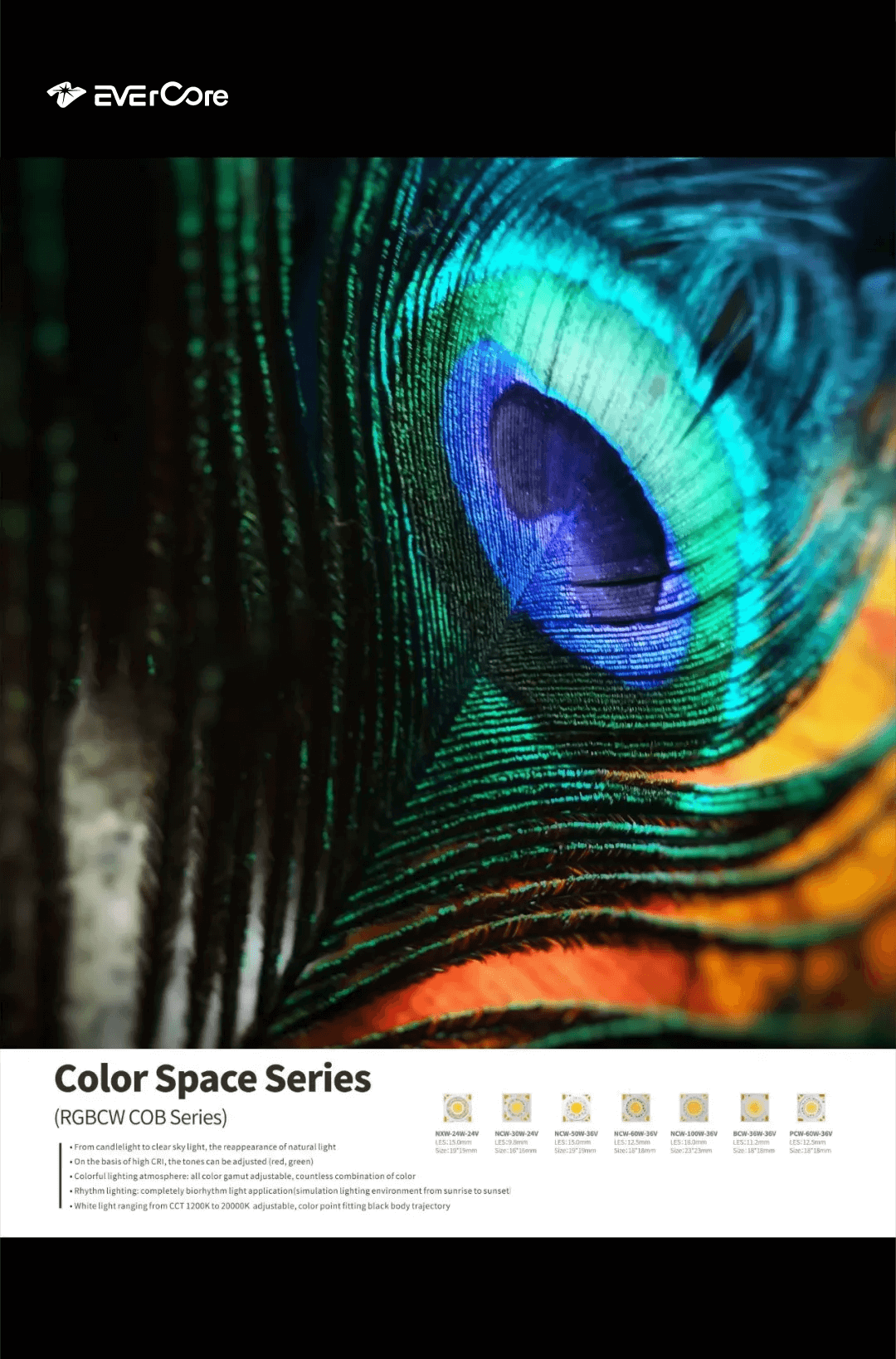 Going abroad and going to the world | Review of Mumbai Exhibition