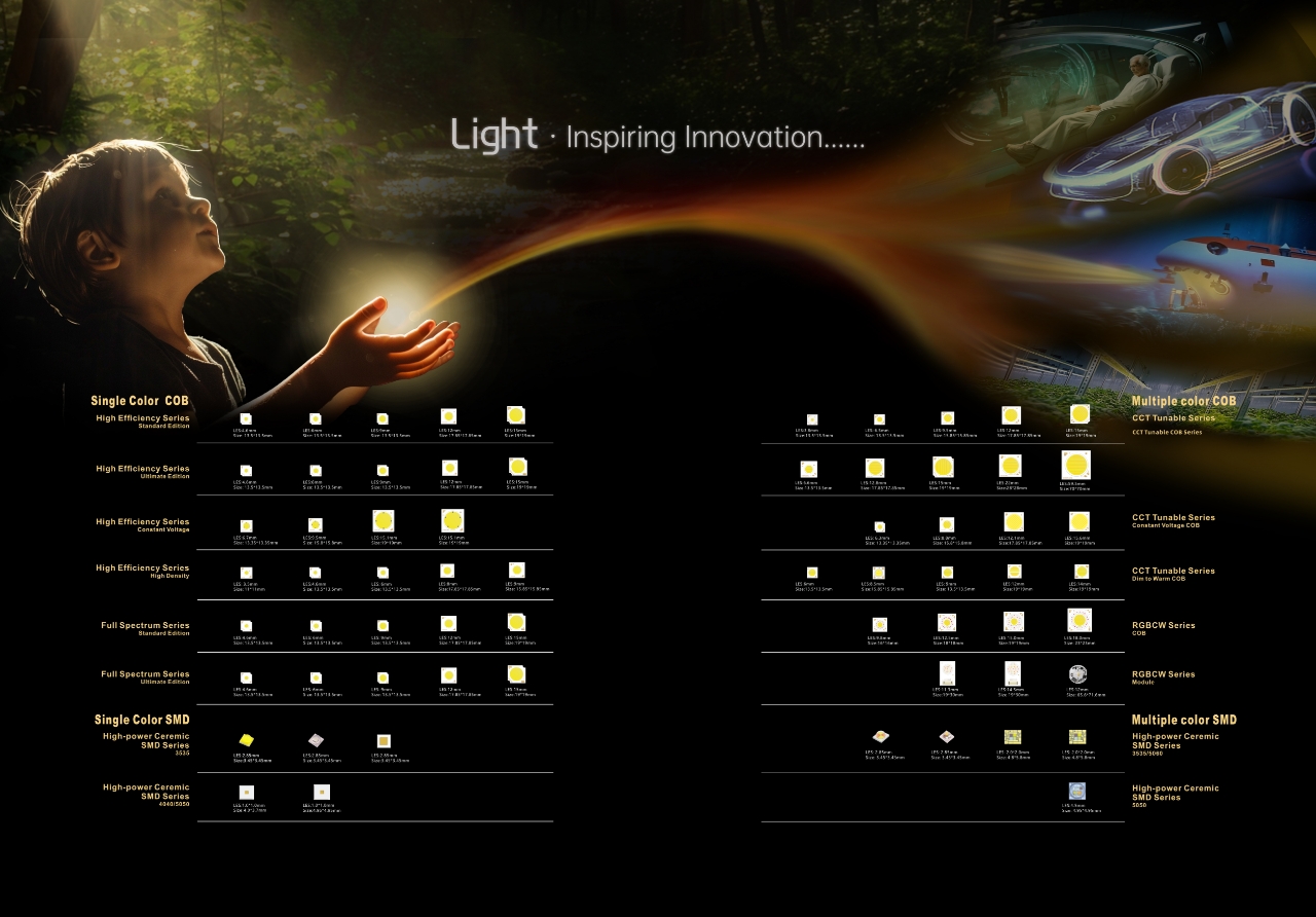 Evercore·GILE | The color of the civic color will not end