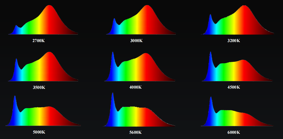 Evercore CCT Tunable COB Series Special Topic