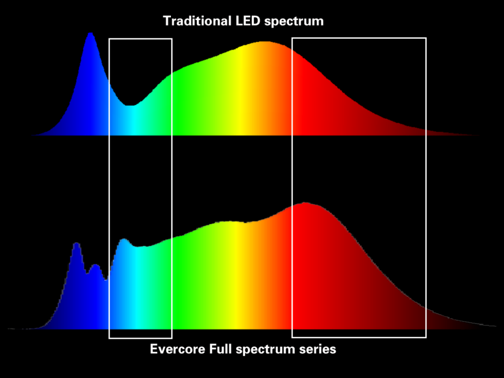 Evercore Full Specturm Series Topic
