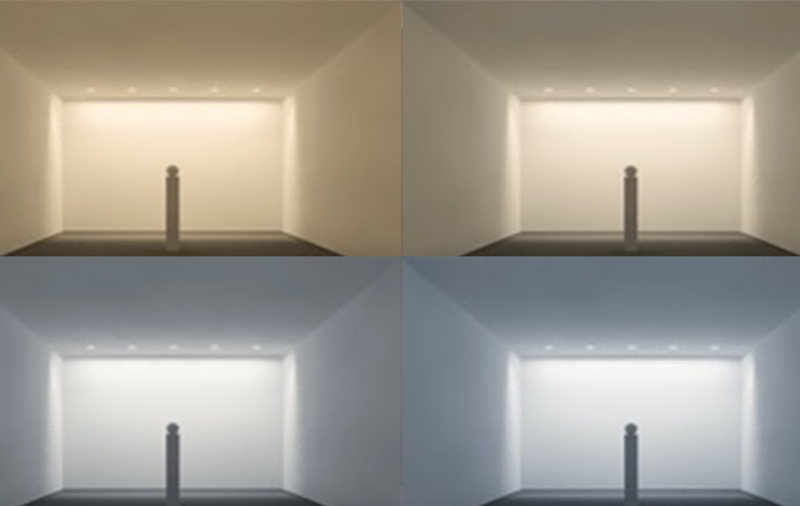 Evercore CCT Tunable COB Series Special Topic