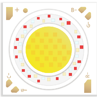 Evercore RGBCW Series Topic