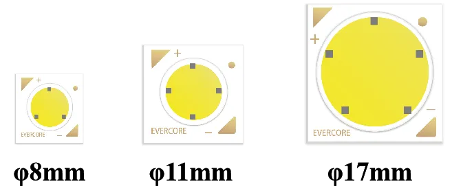 Evercore Constant Voltage COB Series Special Topic