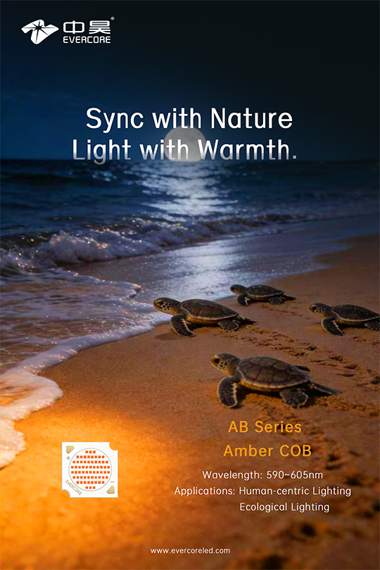 Thematic Interpretation of the Amber Series